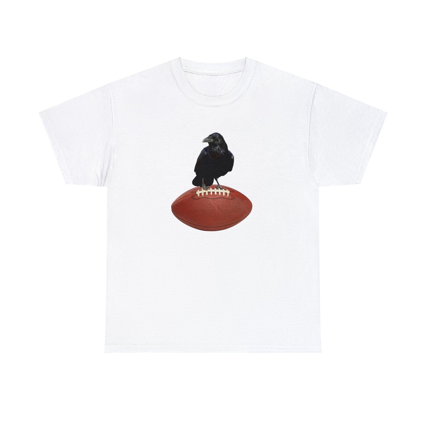 Raven Football