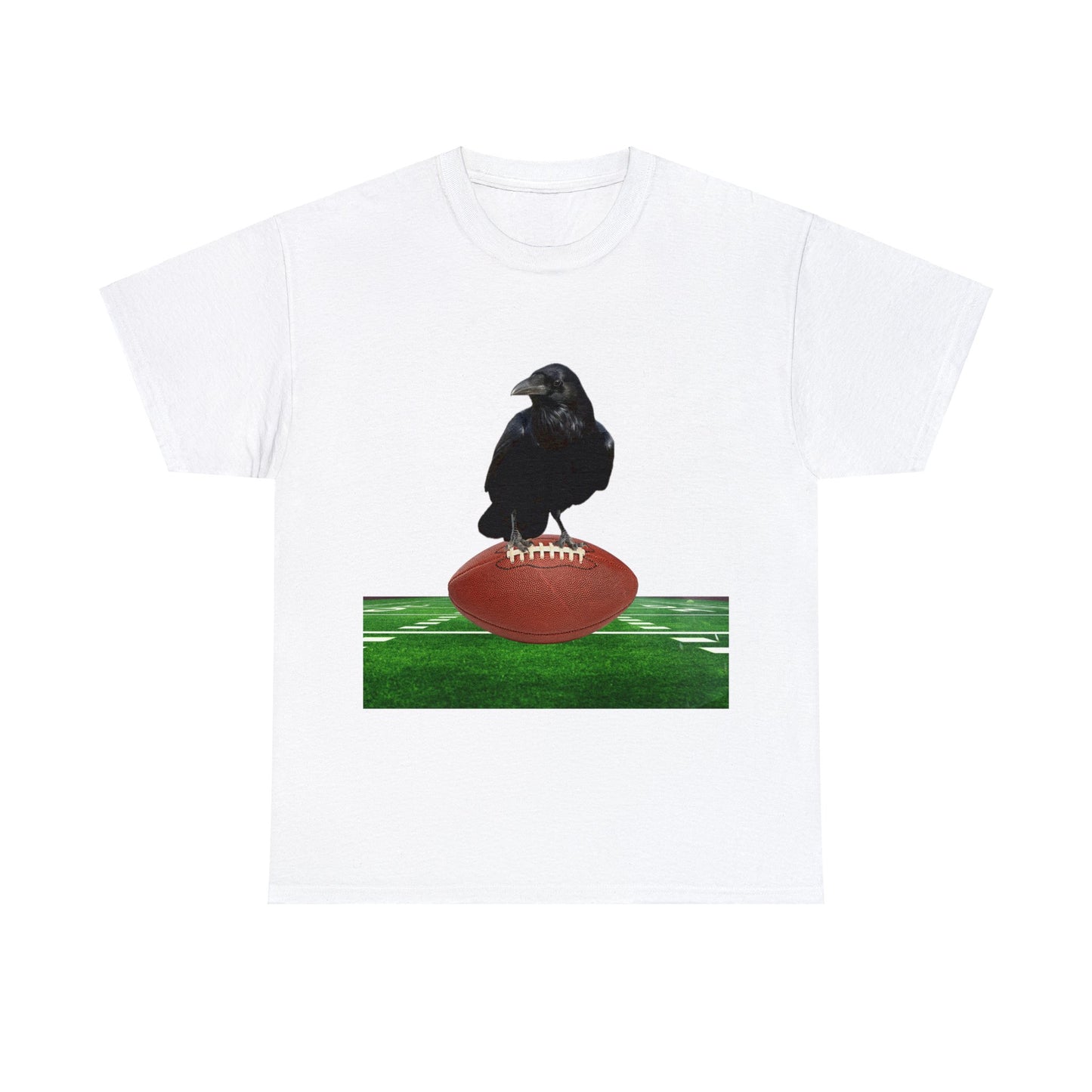 Raven on a Football