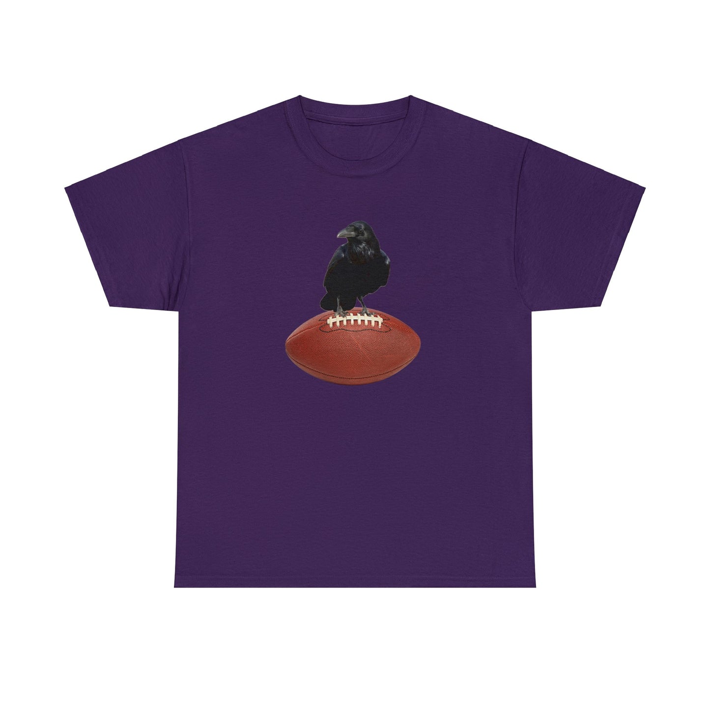 Raven Football