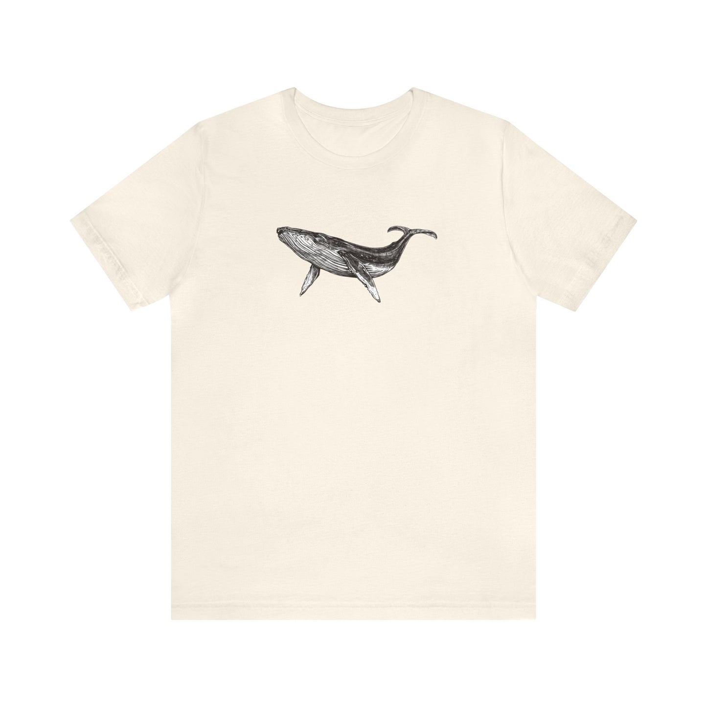 Humpback Whale