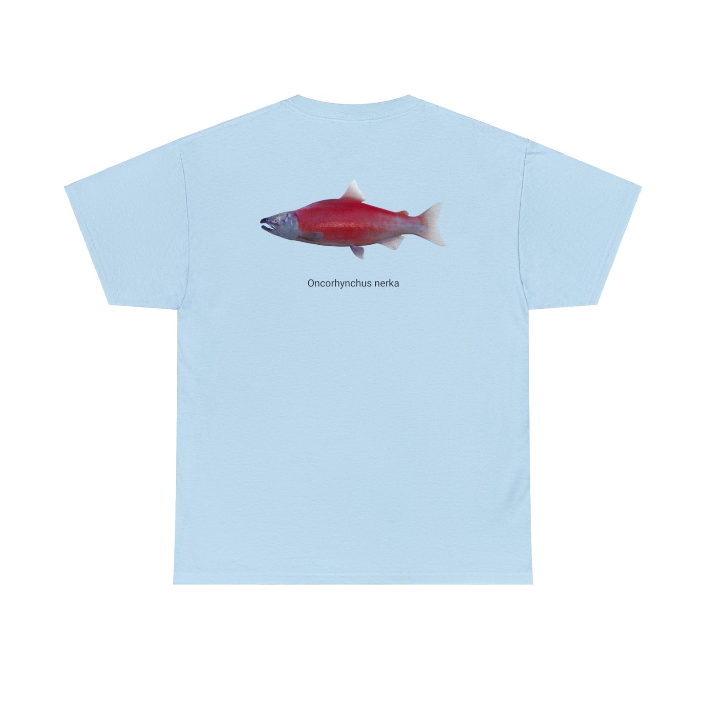 Red Fish (on back)