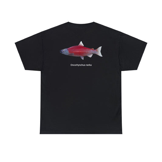 Red Fish (on back)