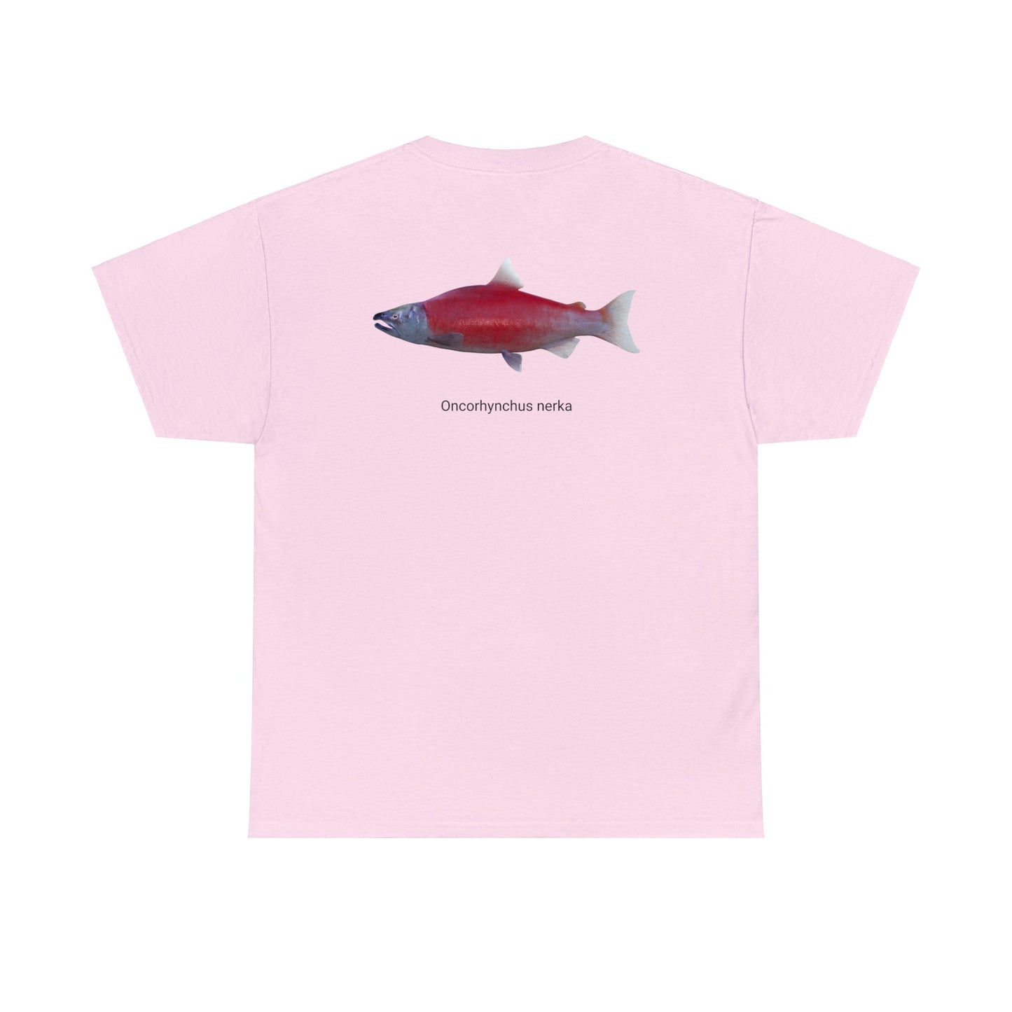 Red Fish (on back)