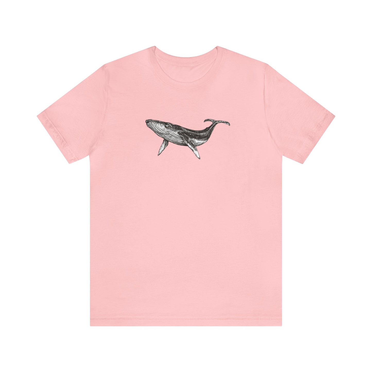 Humpback Whale