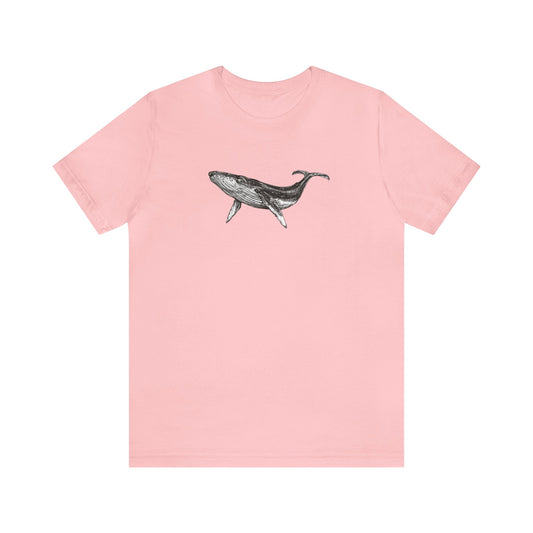 Humpback Whale