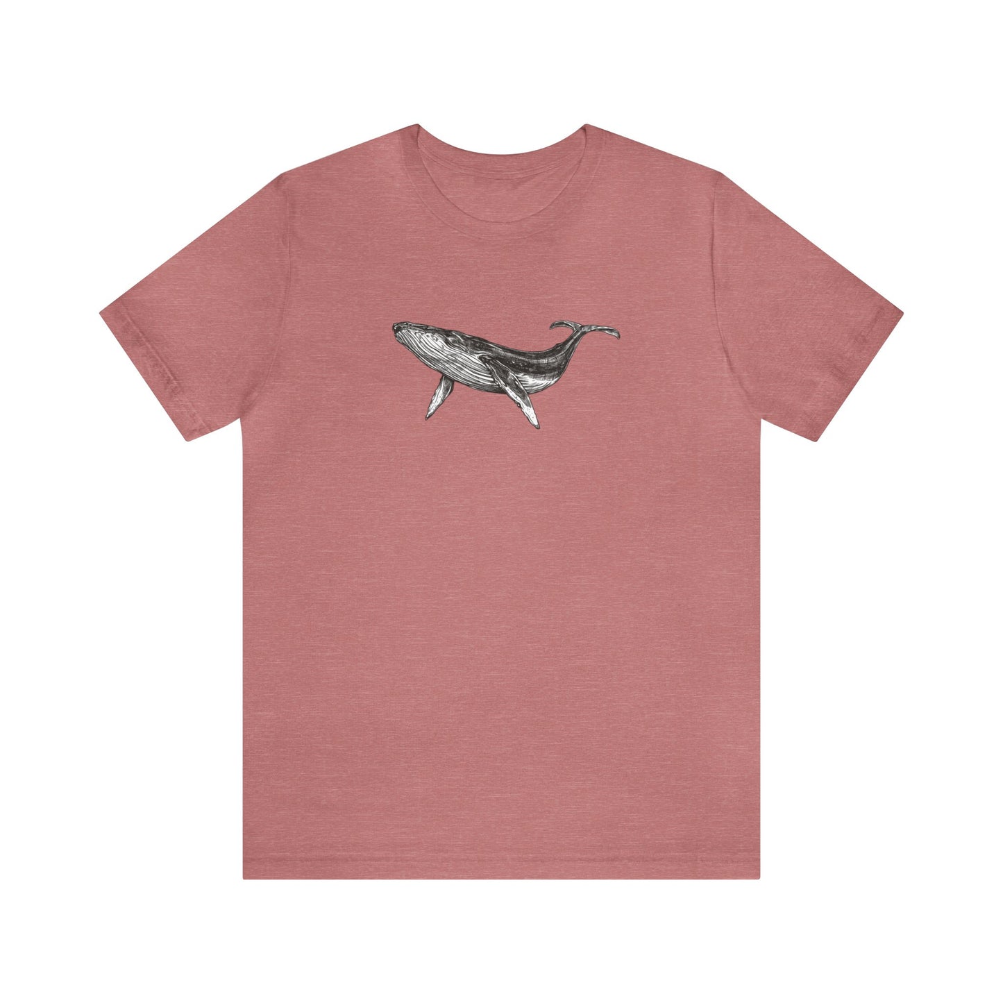 Humpback Whale