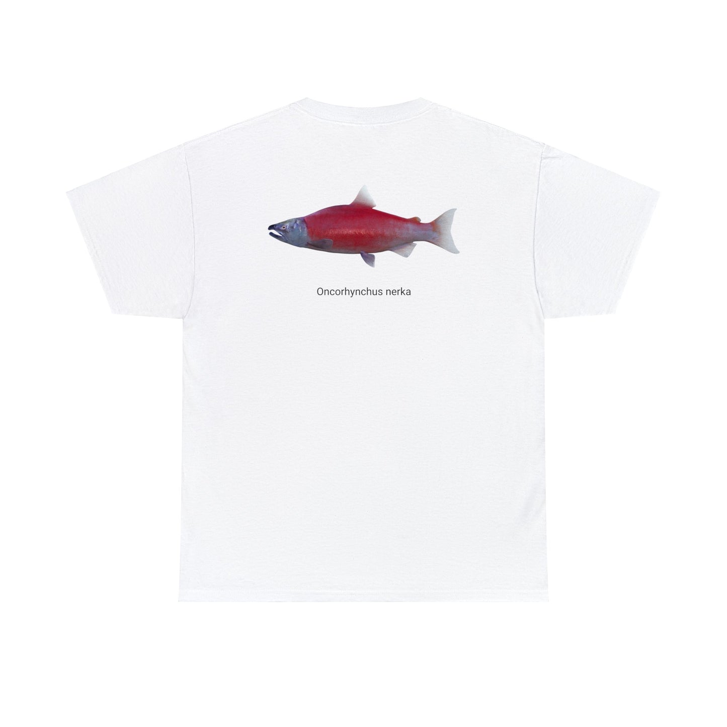 Red Fish (on back)