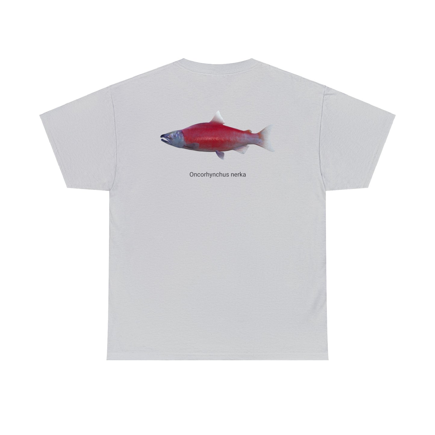 Red Fish (on back)