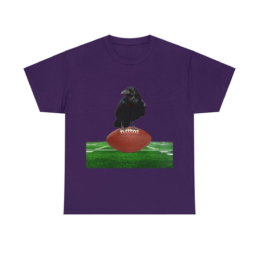 Raven on a Football