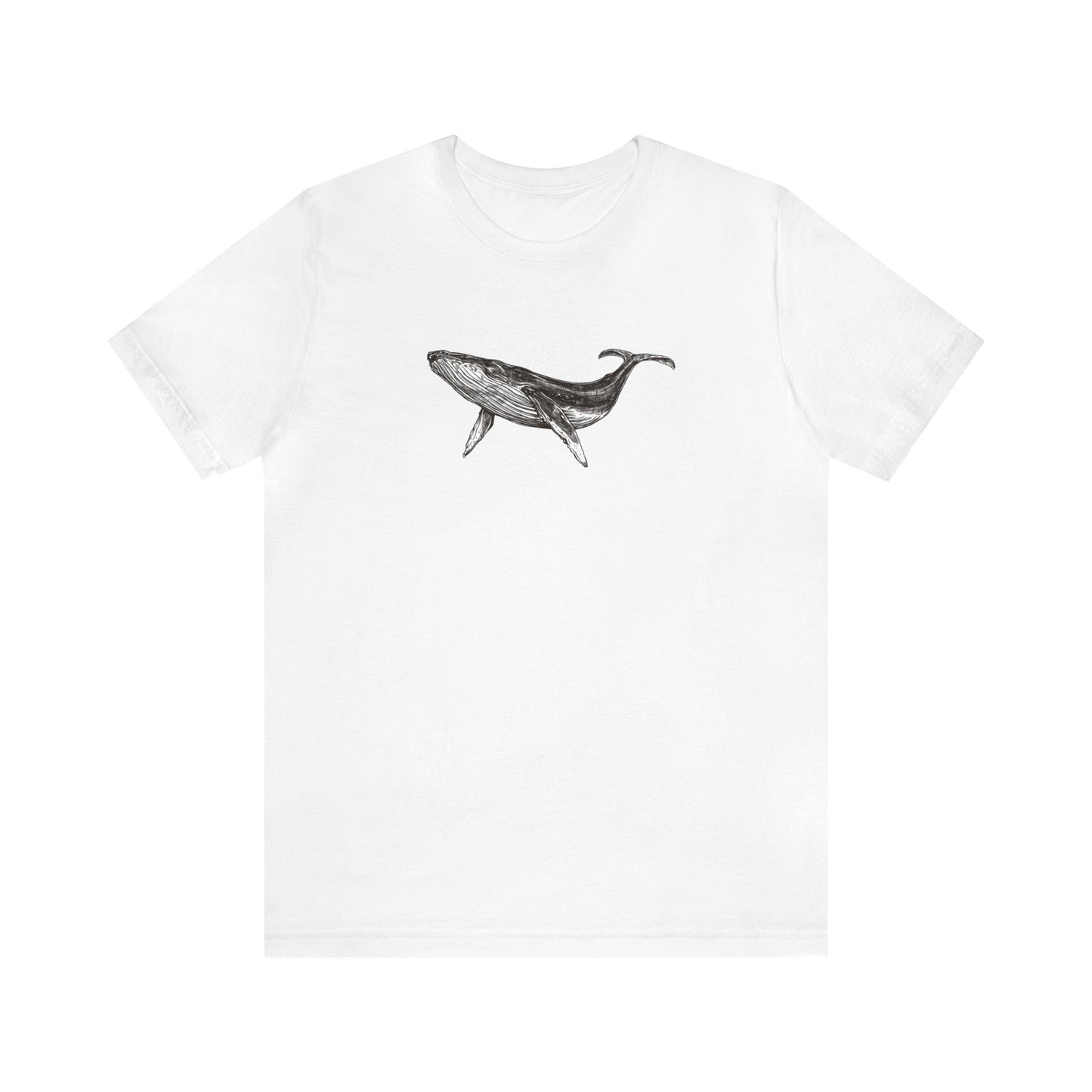 Humpback Whale