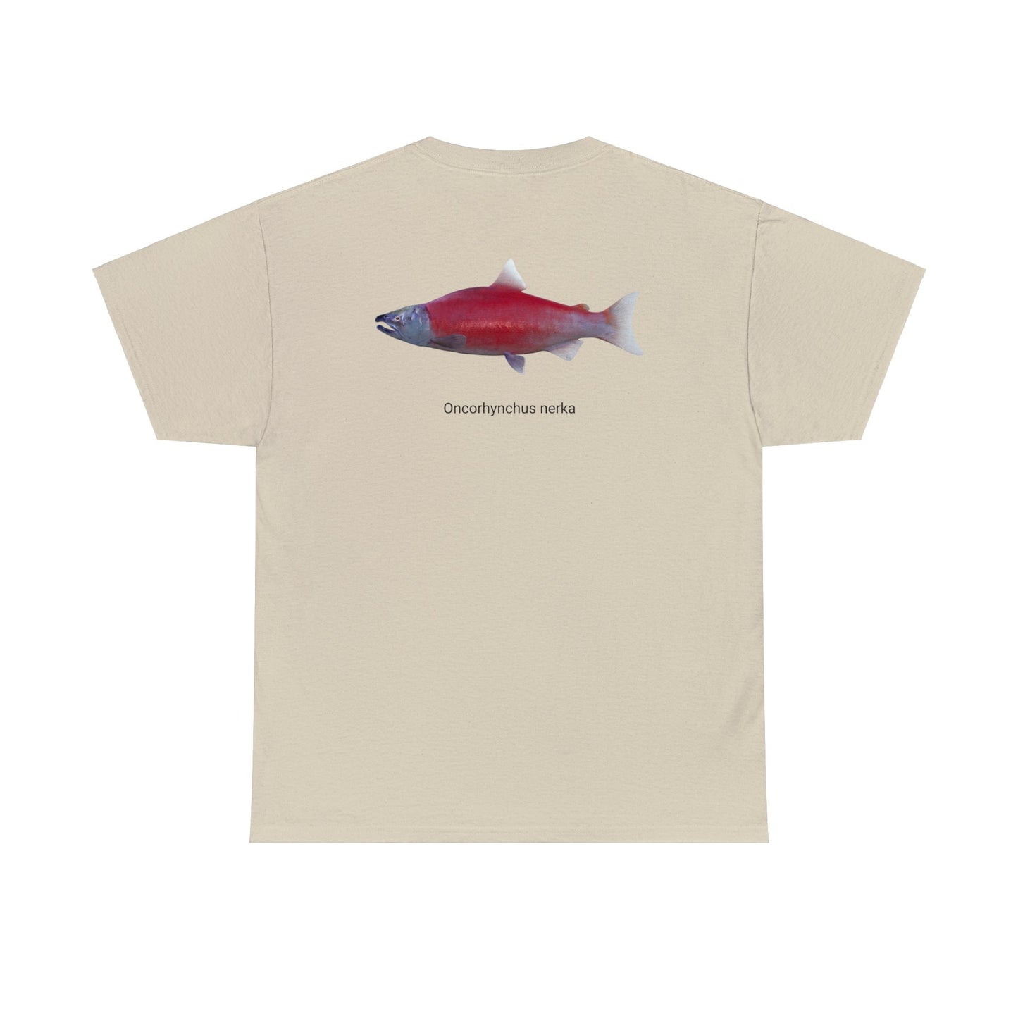 Red Fish (on back)